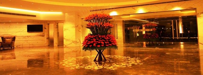 659/The Umrao - New Delhi 03.jpg